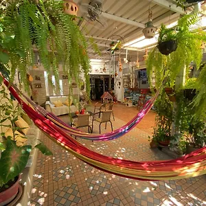 Casa Linda Séjour chez l'habitant
